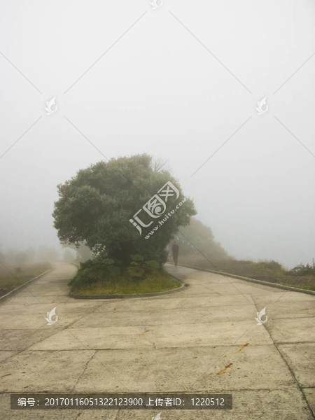 有樹和人的有霧的風景