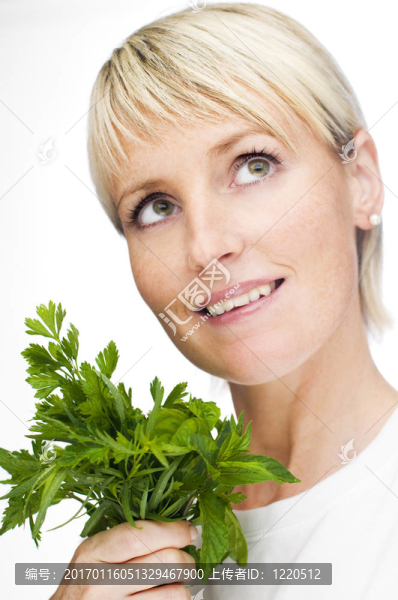 草本植物