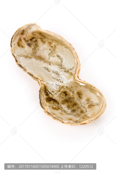 花生-匯圖網(wǎng) www.fosd68.com 花生