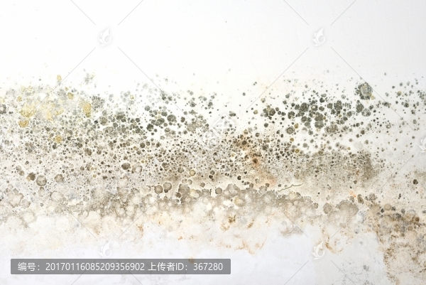 發(fā)霉的石灰墻