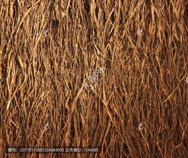 稻草紋理,背景-匯圖網(wǎng) www.fosd68.com 稻草紋理,背景