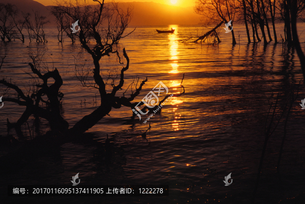 洱海日出