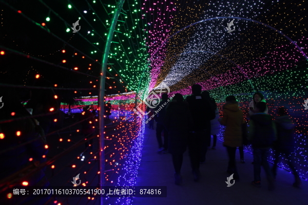 燈展