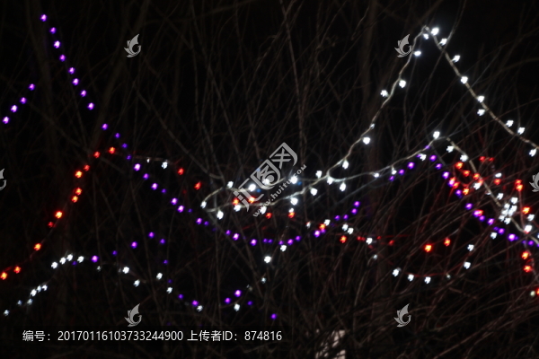 燈展-匯圖網(wǎng) www.fosd68.com 燈展