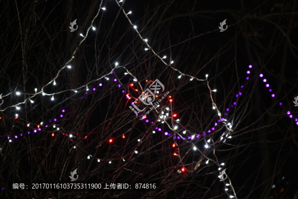 燈展