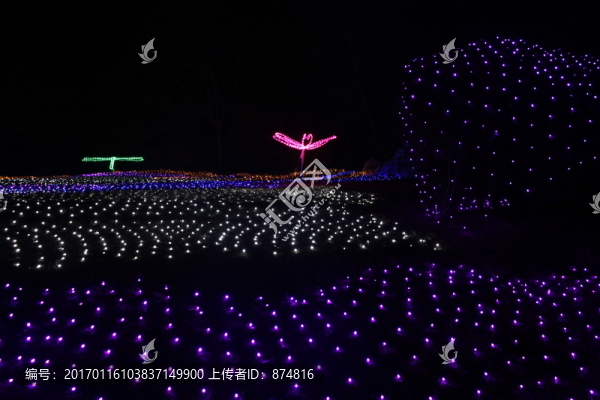 燈展