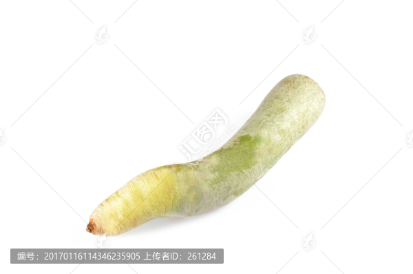 綠蘿卜