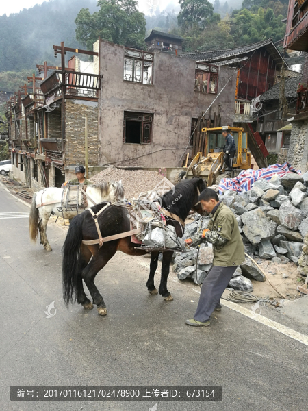運貨的馬
