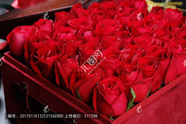 玫瑰