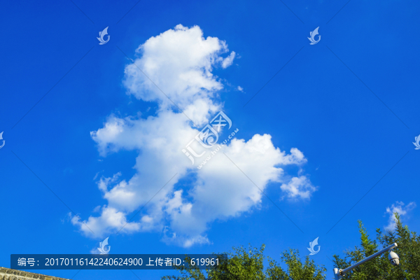 動物形狀白云