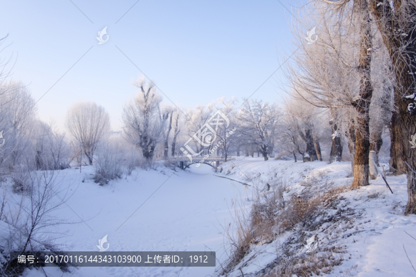 冬天的樹(shù)林