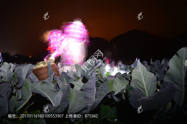 采花菜