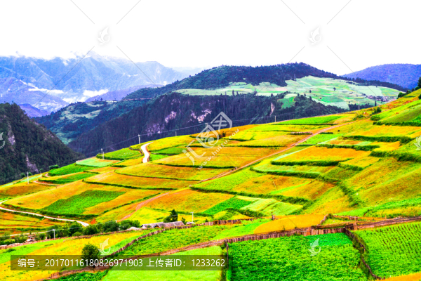 云南風(fēng)光