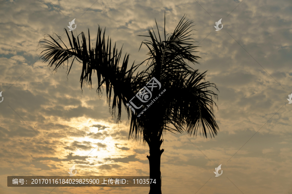 海邊日出