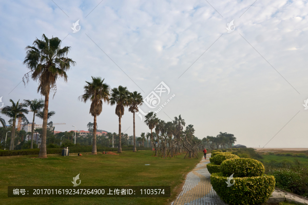 廈門海濱朝霞