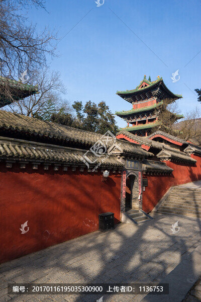 少林寺藥局