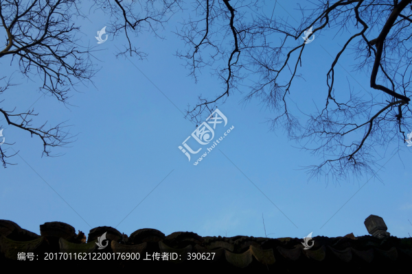 枯枝