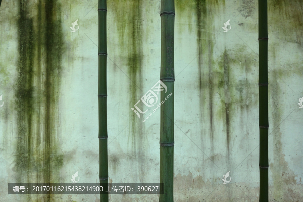 綠竹老墻