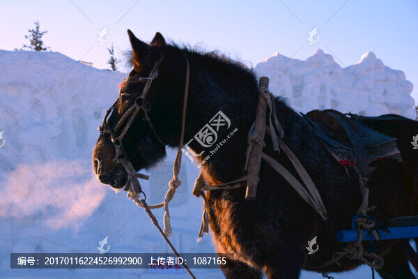 伊薩人節(jié)-匯圖網(wǎng) www.fosd68.com 伊薩人節(jié)