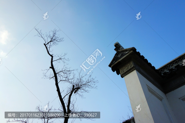 樹枝天空老墻
