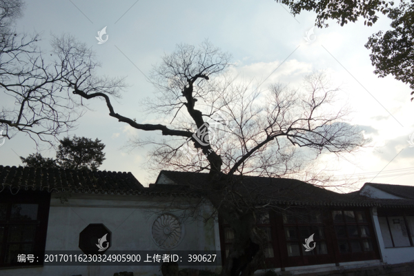 蘇州園林小景-匯圖網(wǎng) www.fosd68.com 蘇州園林小景