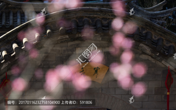 梅花寒香