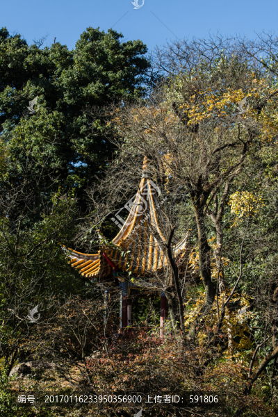 秋天林中的六角亭-匯圖網(wǎng) www.fosd68.com 秋天林中的六角亭