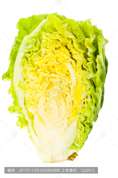 白菜