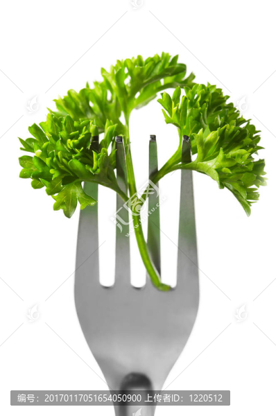 西芹