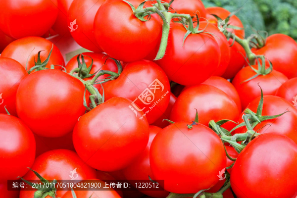 有機西紅柿