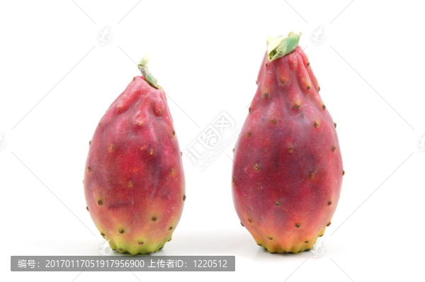 火龍果