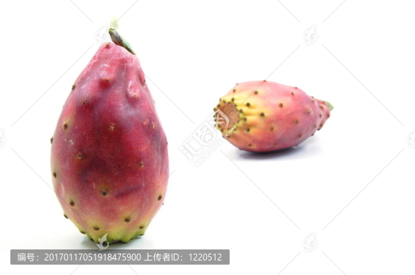 火龍果