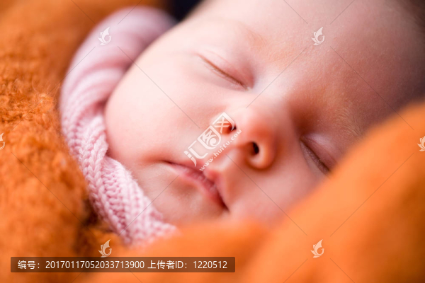 甜蜜的夢(mèng)在戶外