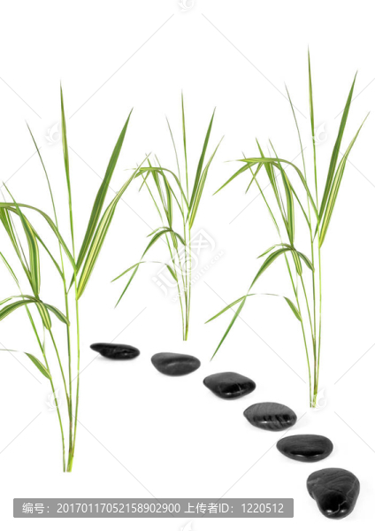 禪道