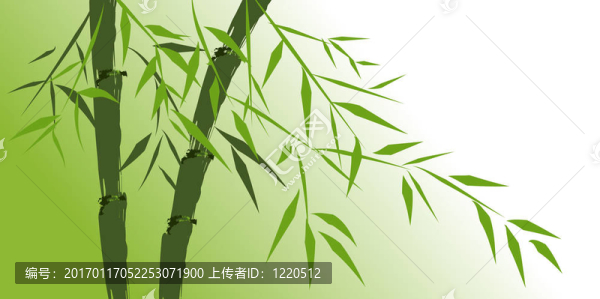 中國竹類樹種設(shè)計(jì)