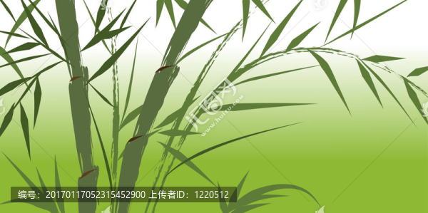 中國(guó)竹類樹種設(shè)計(jì)