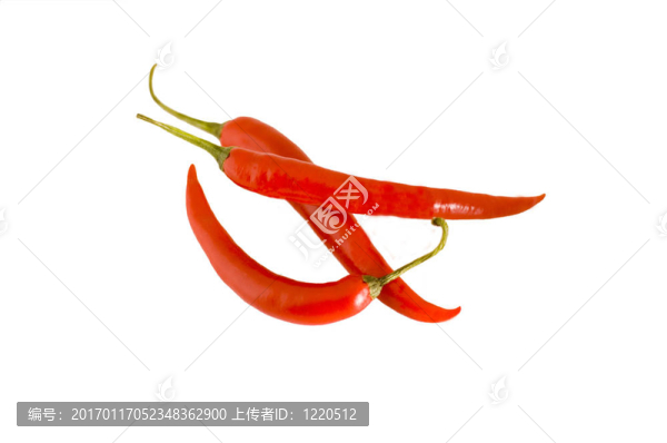 紅辣椒