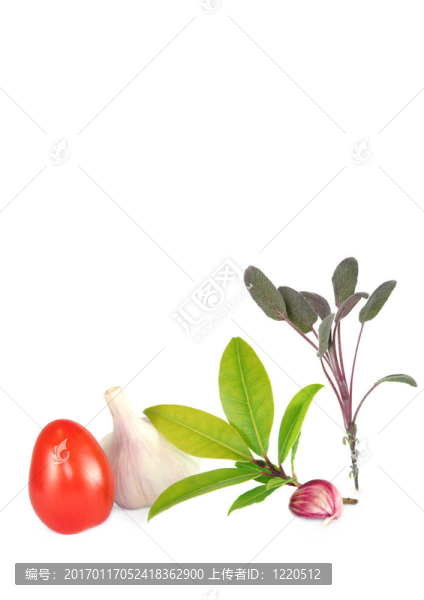 番茄；大蒜和香草