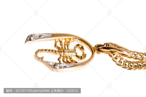 金蝎