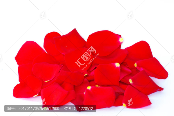 玫瑰花瓣