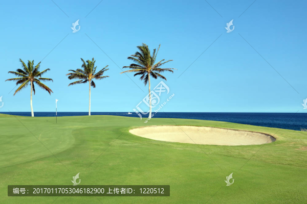 夏威夷高爾夫球場