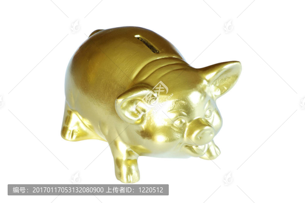 金色的小豬存錢罐
