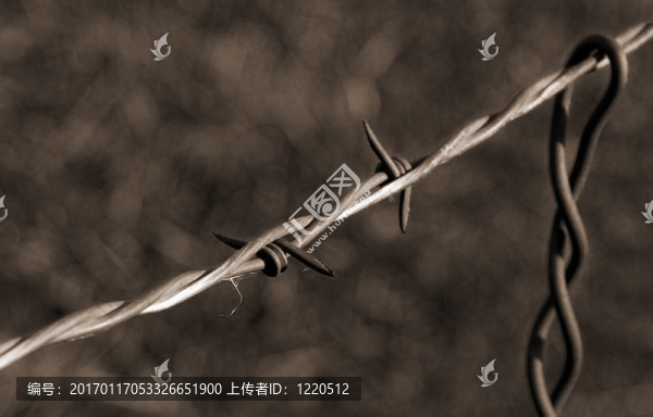 舊鐵絲網(wǎng)