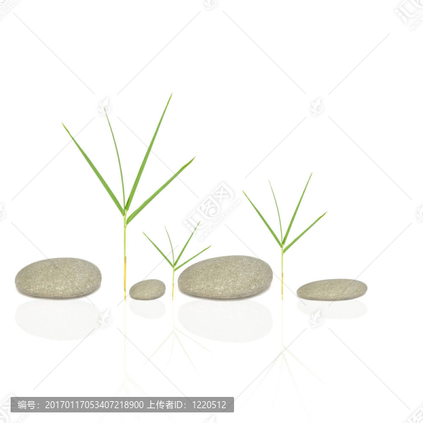 禪石之美