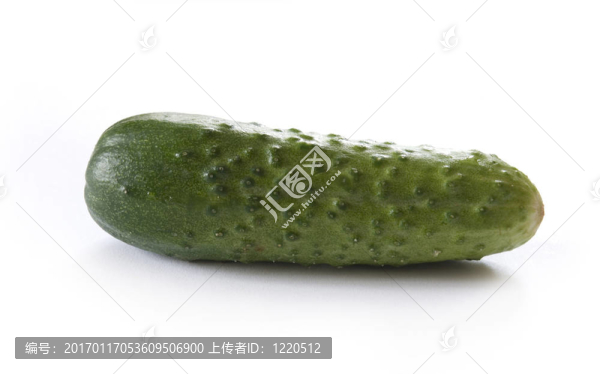 黃瓜白