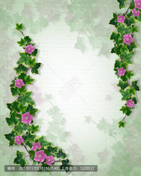 花質(zhì)感模板常春藤