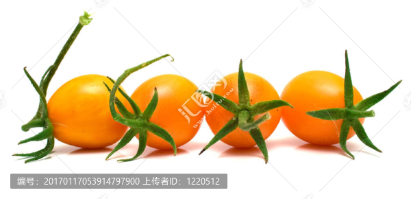 完美的黃色西紅柿