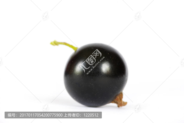 黑加侖