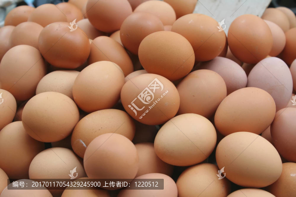 很多蛋-匯圖網(wǎng) www.fosd68.com 很多蛋