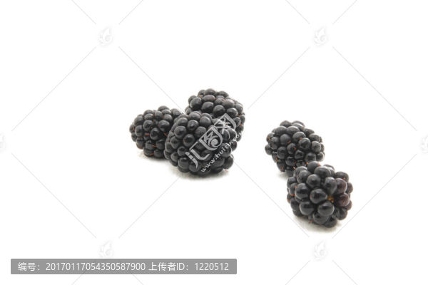 黑莓白色隔離